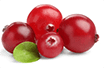Cranberry