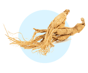 Panax Ginseng ingredient