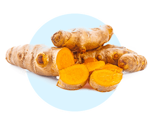 Turmeric ingredient