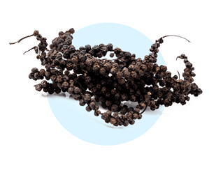 Piperine ingredient